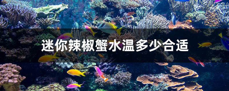 迷你辣椒蟹水温多少合适