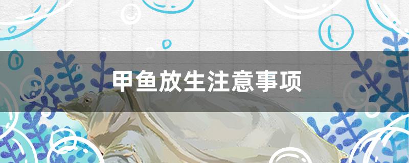 甲鱼放生注意事项