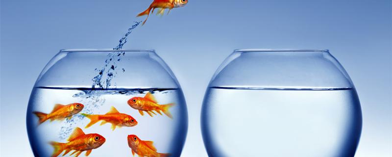 How does goldfish float on the surface of the water and not like to move? How to solve it?