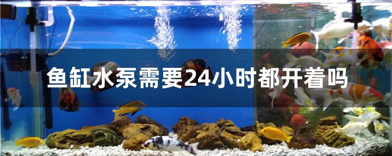鱼缸水泵需要24小时都开着吗