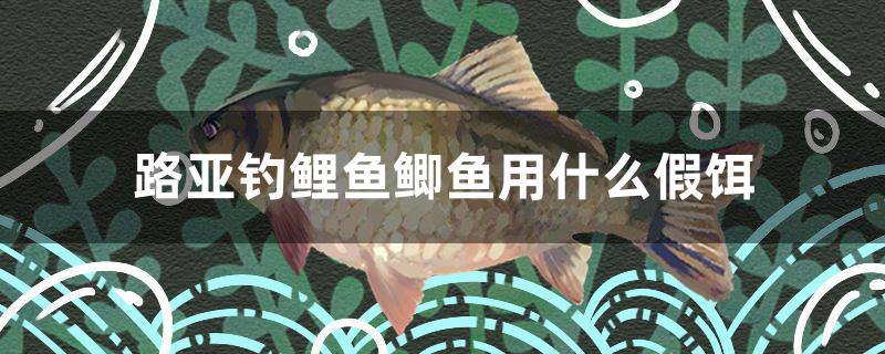 路亞釣鯉魚鯽魚用什么假餌 龍魚芯片掃碼器