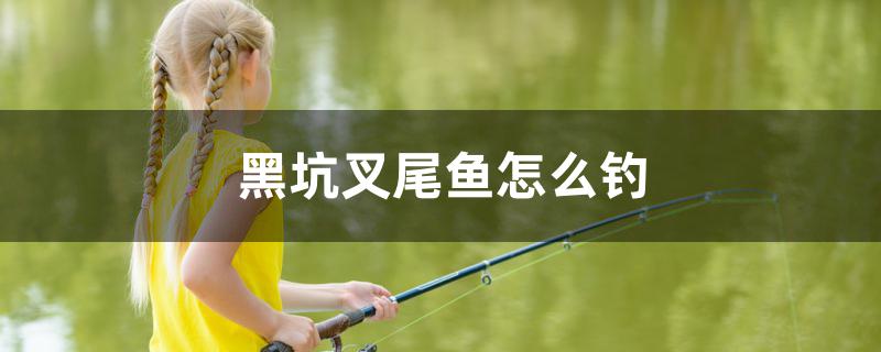 黑坑叉尾魚怎么釣 垂釣樂園