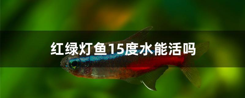 红绿灯鱼15度水能活吗