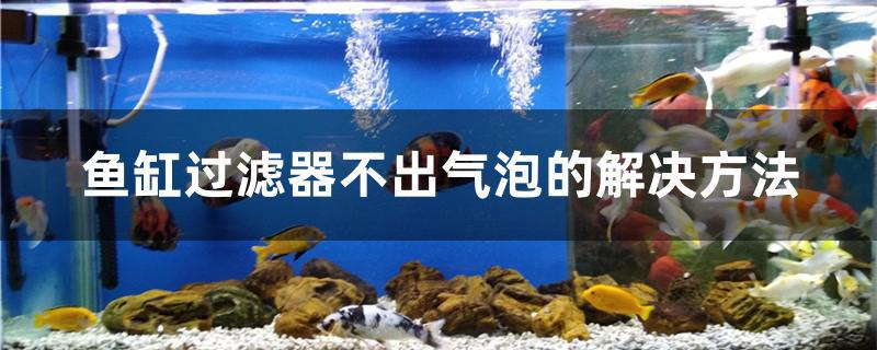 鱼缸过滤器不出气泡的解决方法