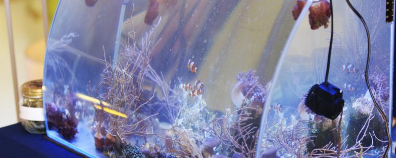 Fish tank can use a few years commonly, what can affect fish tank life?