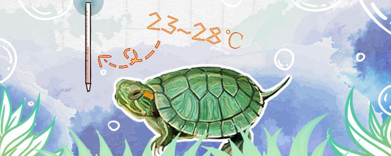 Raising temperature and water quality of Brazilian tortoise