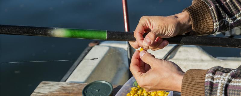 釣りにどんな餌を使うのか、どんな糸を使うのか