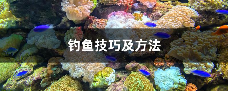 釣魚技巧及方法 垂釣樂園