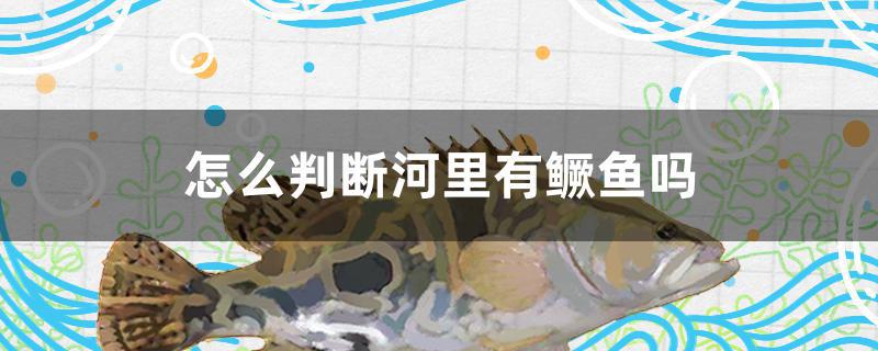 怎么判断河里有鳜鱼吗