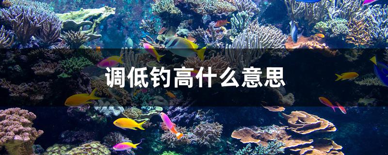 调低钓高什么意思 鱼缸水质稳定剂