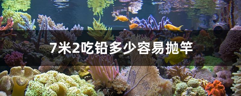 7米2吃鉛多少容易拋竿