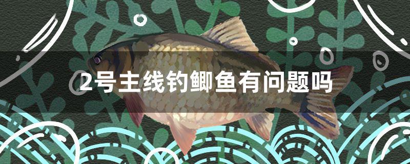 2號主線釣鯽魚有問題嗎 三色錦鯉魚