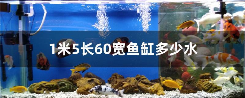 1米5长60宽鱼缸多少水