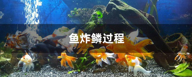 鱼炸鳞过程