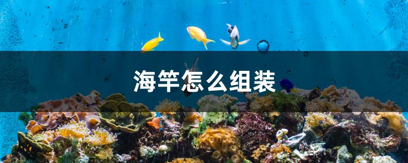 海竿怎么组装 垂钓乐园