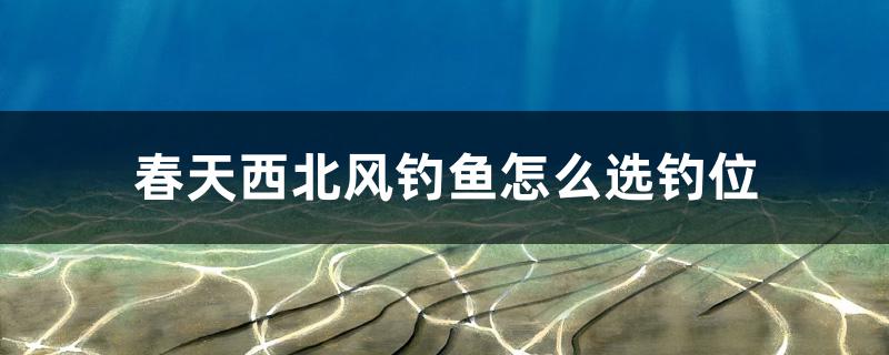 春天西北風(fēng)釣魚怎么選釣位 垂釣樂園