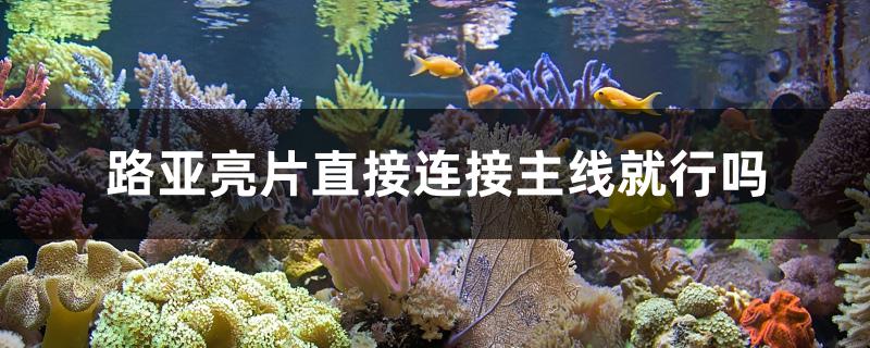 路亚亮片直接连接主线就行吗