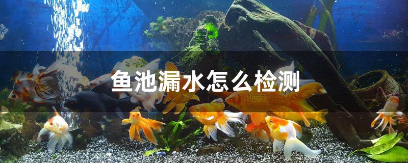 鱼池漏水怎么检测