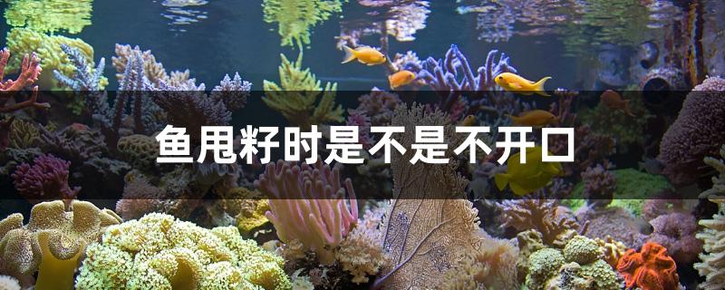 鱼甩籽时是不是不开口
