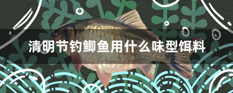 清明節(jié)釣鯽魚用什么味型餌料