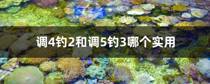 調(diào)4釣2和調(diào)5釣3哪個實用 元寶鳳凰魚