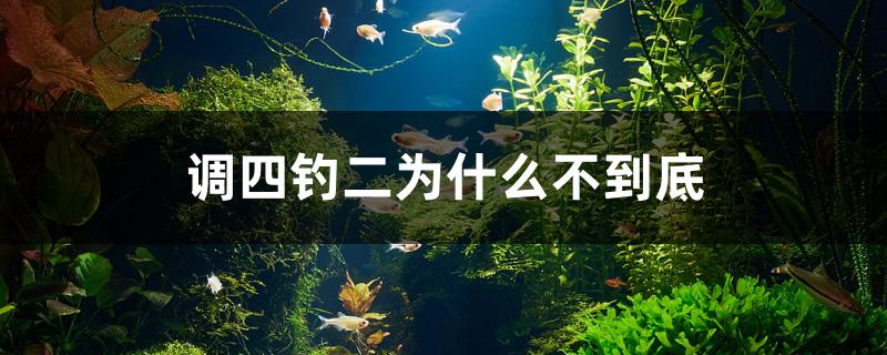 调四钓二为什么不到底 潜水艇鱼