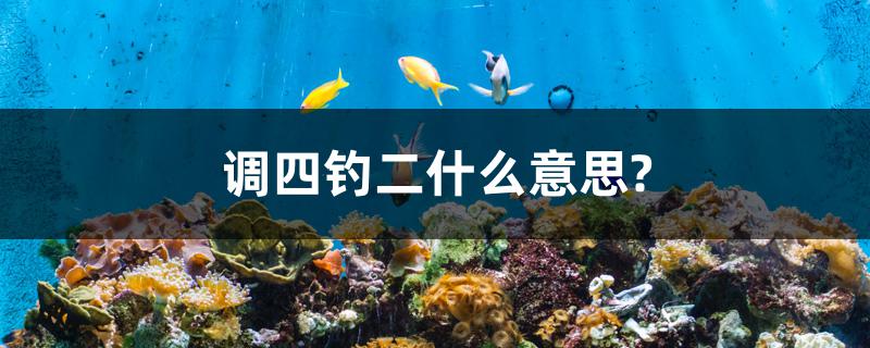 调四钓二什么意思?