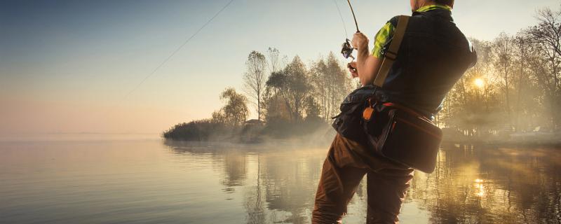 What is the best bait and rod to use for freshwater bass fishing?