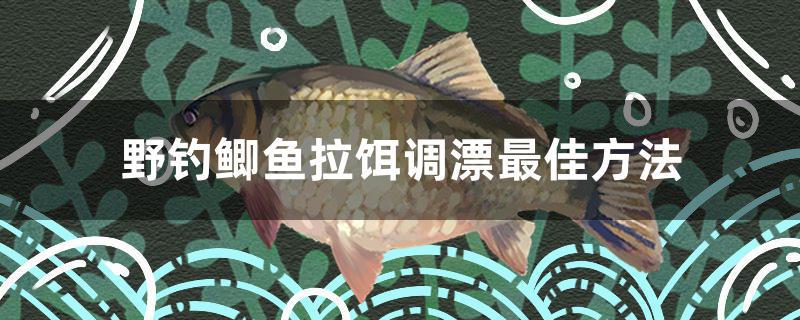 野釣鯽魚拉餌調(diào)漂最佳方法 虎斑恐龍魚