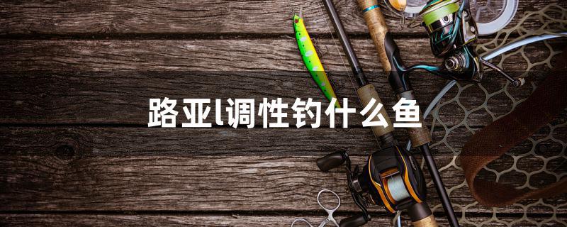 路亞l調(diào)性釣什么魚