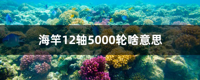 海竿12轴5000轮啥意思 垂钓乐园