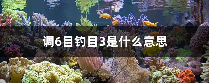 調(diào)6目釣目3是什么意思 垂釣樂園