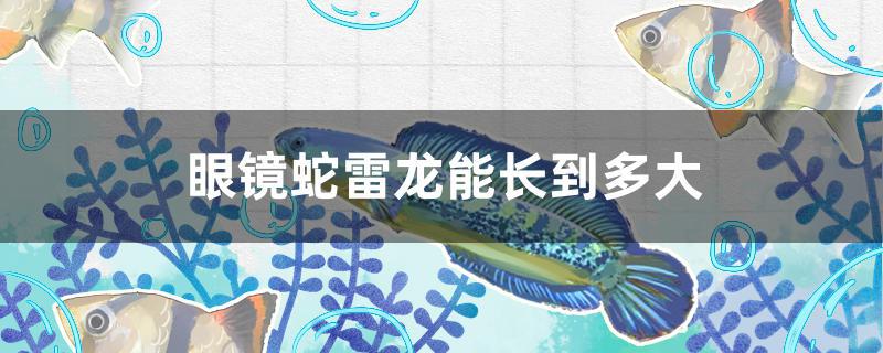 眼镜蛇雷龙能长到多大