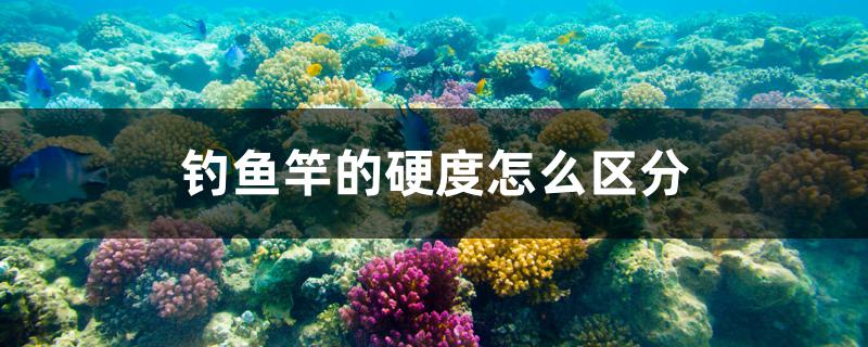 釣魚竿的硬度怎么區(qū)分