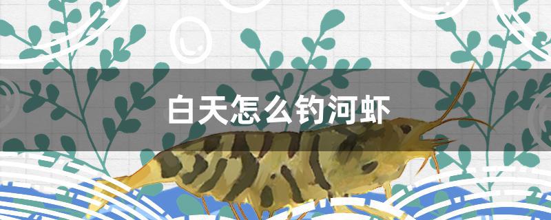 白天怎么钓河虾