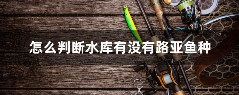 怎么判斷水庫有沒有路亞魚種 廣州水族器材濾材批發(fā)市場