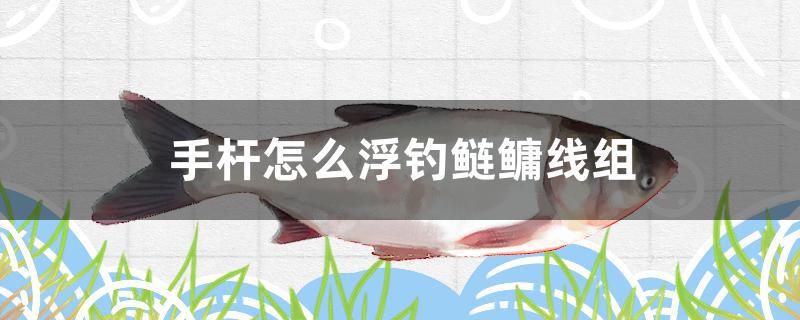 手桿怎么浮釣鰱鳙線組