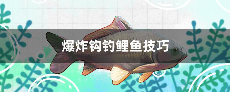 爆炸鉤釣鯉魚技巧 垂釣樂園