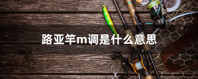路亚竿m调是什么意思