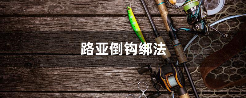 路亞倒鉤綁法 白條過(guò)背金龍魚(yú)