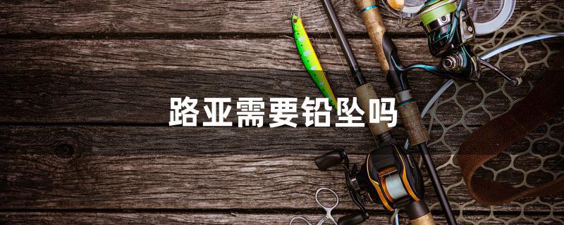 路亚需要铅坠吗