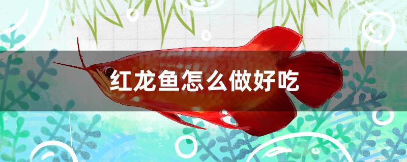 红龙鱼怎么做好吃
