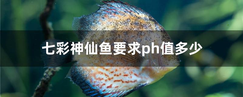 七彩神仙魚要求ph值多少