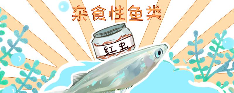 Can the medaka eat young fish? What other foods do you like to eat?