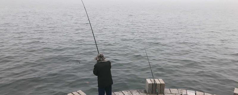 海釣りは釣れますか、浮き釣りですか、底釣りですか