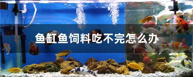 魚缸魚飼料吃不完怎么辦