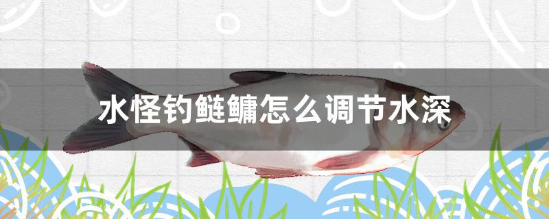 水怪钓鲢鳙怎么调节水深