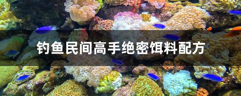 钓鱼民间高手绝密饵料配方