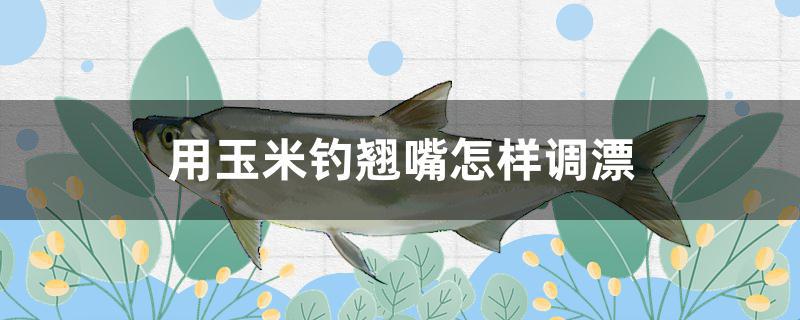 用玉米钓翘嘴怎样调漂 水族周边