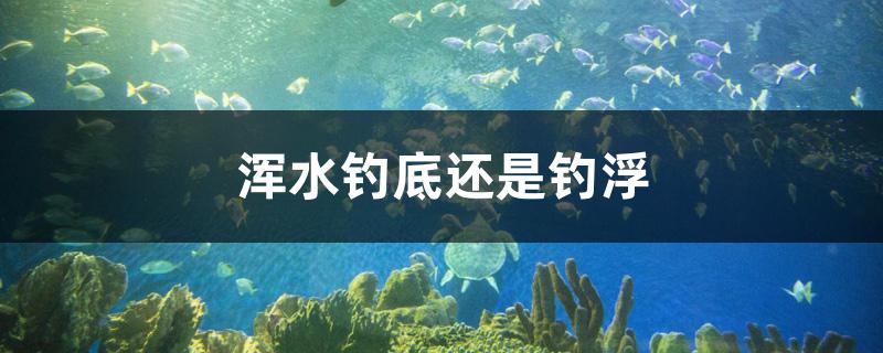 浑水钓底还是钓浮